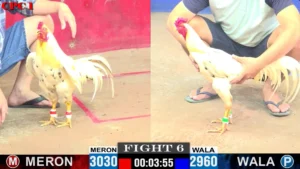 Trực Tiếp Thomo CPC1 Ngày 03/07/2025 Hùng Gà vs Đại Khang